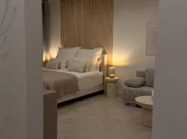 Modernes 1-Zimmer-Apartment in zentraler Lage