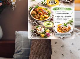 Penzion Rak Wellness – hotel w mieście Černá v Pošumaví