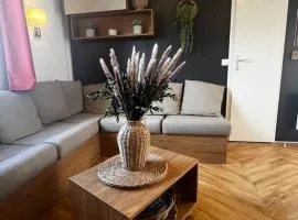 Mobil-Home climatisé presqu'ïle Cap-Ferret 6 pers