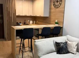 Apartament Perła Beskidu Bystra Park