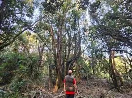 Camping Delta del Azul