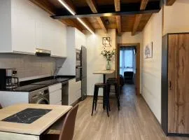Apartamentos Miguel 4
