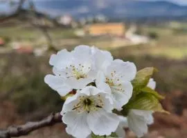 Quinta do Limite - Agroturismo