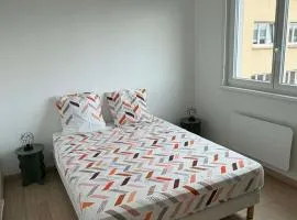 Appartement cosy au cœur de Thionville
