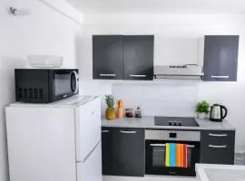 Abricotier à proximité des plages du sud