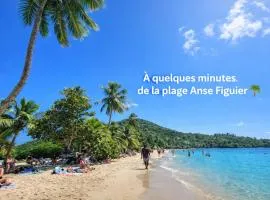 Abricotier à proximité des plages du sud