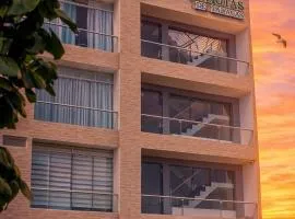 LAS GAVIOTAS DE PARACAS