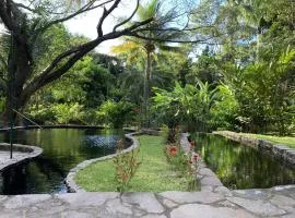 Thermal Paradise Villa