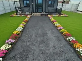 Tiny house container