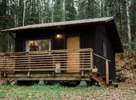 Skogstead Cabin in the boreal forest
