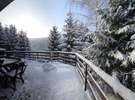 Casa Ema Azuga, hotell sihtkohas Azuga