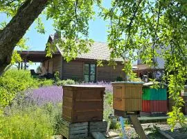 Agroturystyka u Joli