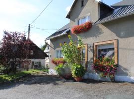 Ferienwohnung am Mühlbach, hotel en Klingenthal