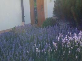 Haus Gemütlichkeit โรงแรมในชอทเทน