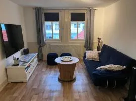 9ter Riese Dachgeschoss-Fewo