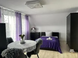 Ferienwohnung Pension Am Berg