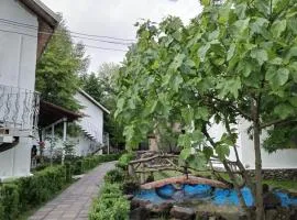 Semerana Hotel Gabala