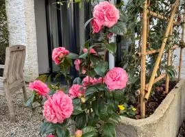 BelleVie Apartment, Eijsden-Maastricht