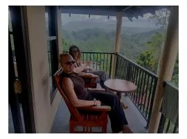 Rainforest Hide View