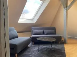 Charmante Dachwohnung in historischer Villa