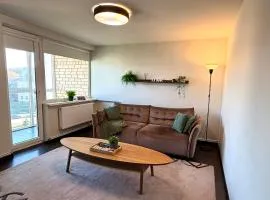 Birštonas Relax Apartment