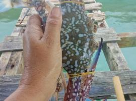 Ánh Hòn Sơn: Lai Sơn şehrinde bir otel