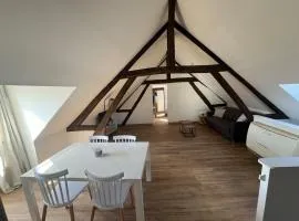 appartement de charme