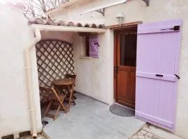 Petite Maisonnette avec cour et portail électrique