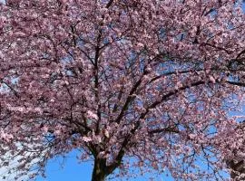 Haus am Kastanienwald