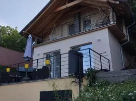 Bovan vikendica za izdavanje