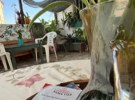 Tropicali ˢᵘⁿ ˢᵘʳᶠ ᵃⁿᵈ ⁱˢˡᵃⁿᵈ