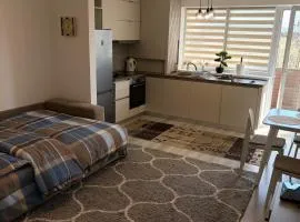 Fantastic Cozy Studio