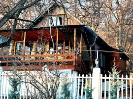 Wooden House in Kiketi, Hotel in Kiketʼi