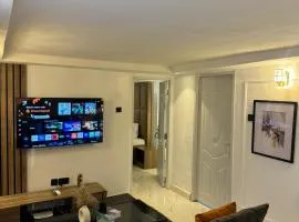 One bedroom Apartment Asokoro-Diplomatic Zone