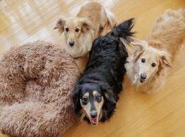 KAMENOI HOTEL Yamato Heguri, hotel in Heguri