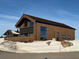 New and completed year-round cabin at Gautefall، فندق في Drangedal