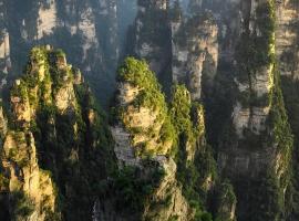 Picturesque Forest Lodge-Near the Ticket Gate-English Services, hotel in Zhangjiajie