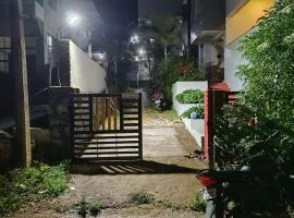 Misty Hills