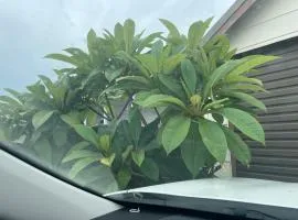 Lake Macquarie holidays