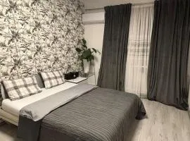 Studio in the center