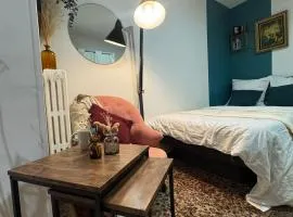 Beau studio proche gare