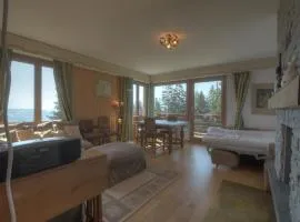 Pollux 23 pres de la telecabine a Anzere avec vue sur les Alpes