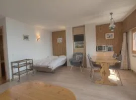 Studio Saphir 405 pres de la telecabine a Anzere