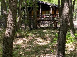 Woods Etna Chalet، فندق في Ragalna