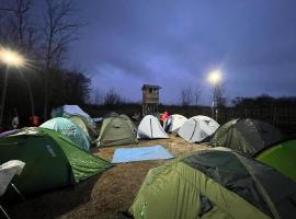 Itʼkhvisi में, होटल Campsite under two oaks