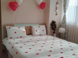 Apartment Bee Happy, Pchelinski Bani,Hot mineral water