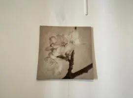 Innovation Residence