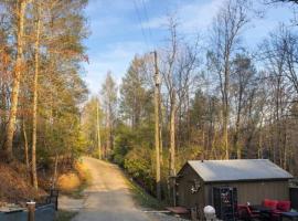 The Treehouse TINY HOME Treetop views Pets YES 420 Yes, hotel v destinácii Gatlinburg