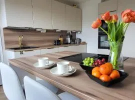 Big Apartment, 4 Bedrooms, Sauna, free parking - EV Charging