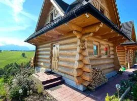 Domki Góralskie Dwa Misie